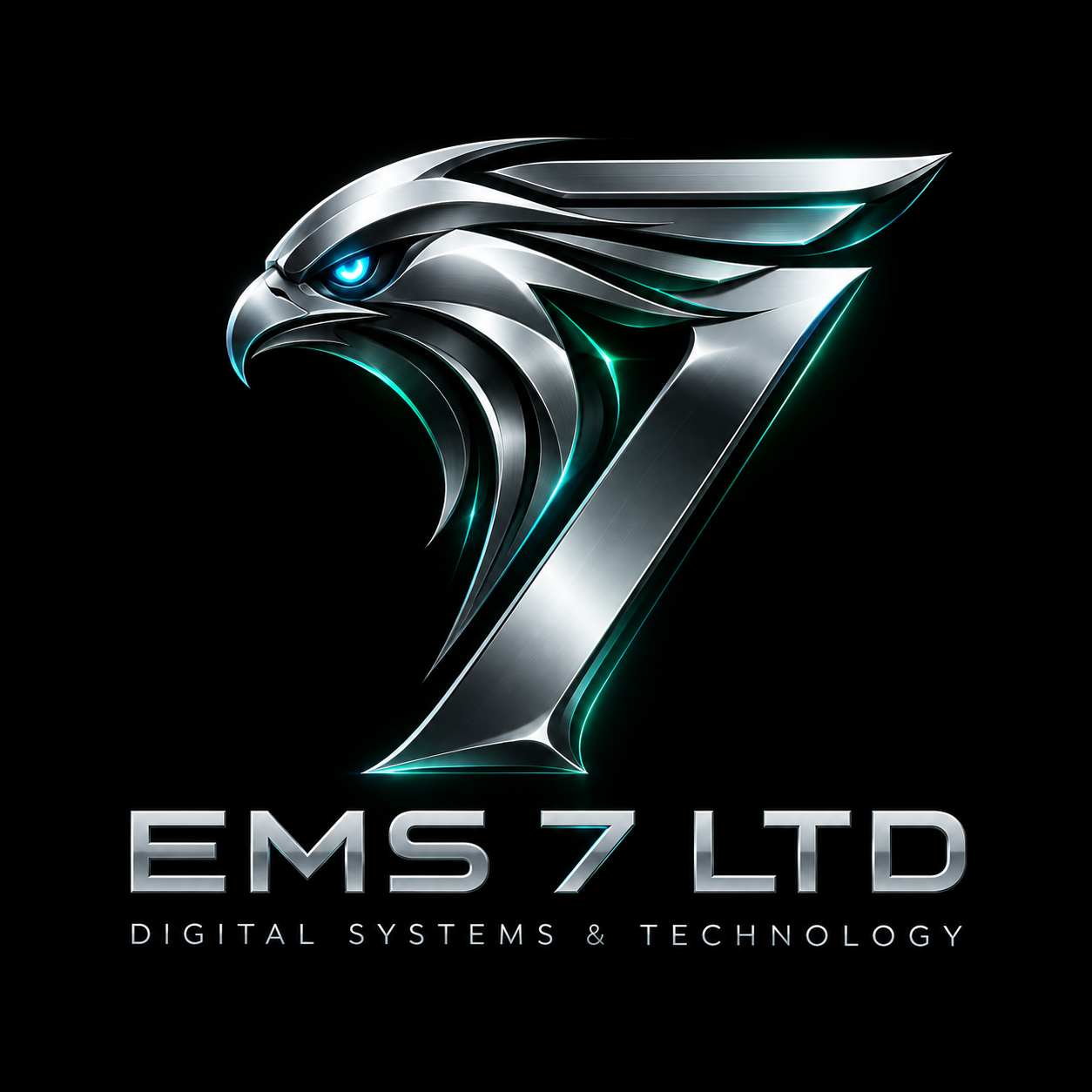 EMS 7 LTD — Digital Systems & Technology